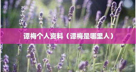 谭梅个人资料（谭梅是哪里人）