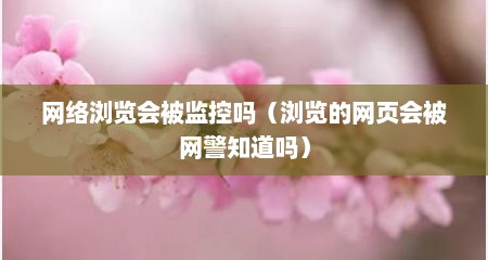 网络浏览会被监控吗（浏览的网页会被网警知道吗）