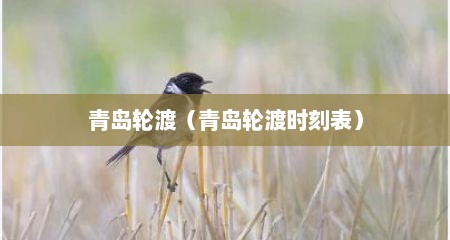 青岛轮渡（青岛轮渡时刻表）