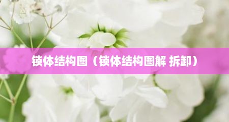 锁体结构图（锁体结构图解 拆卸）