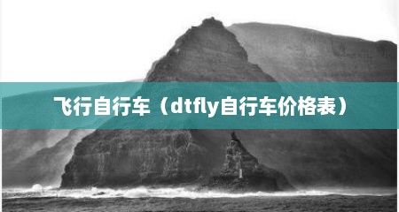 飞行自行车（dtfly自行车价格表）