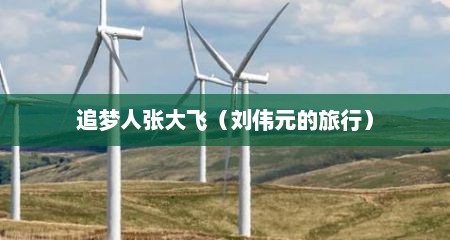 追梦人张大飞（刘伟元的旅行）