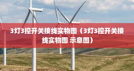 3灯3控开关接线实物图（3灯3控开关接线实物图 示意图）