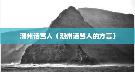 潮州话骂人（潮州话骂人的方言）
