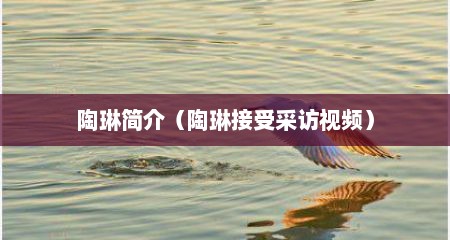 陶琳简介（陶琳接受采访视频）