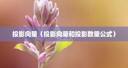 投影向量（投影向量和投影数量公式）