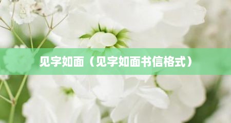 见字如面（见字如面书信格式）