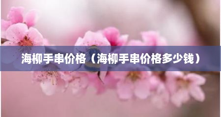 海柳手串价格（海柳手串价格多少钱）