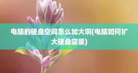 电脑的硬盘空间怎么加大啊(电脑如何扩大硬盘容量)
