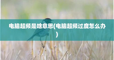 电脑超频是啥意思(电脑超频过度怎么办)