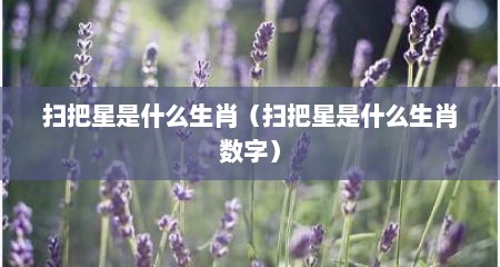 扫把星是什么生肖（扫把星是什么生肖数字）
