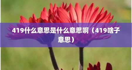 419什么意思是什么意思啊（419啥子意思）