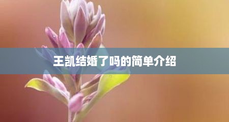 王凯结婚了吗的简单介绍