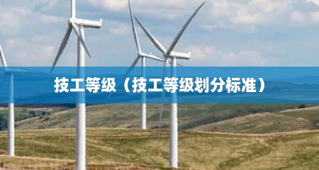 技工等级（技工等级划分标准）