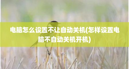 电脑怎么设置不让自动关机(怎样设置电脑不自动关机开机)