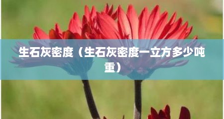 生石灰密度（生石灰密度一立方多少吨重）
