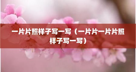一片片照样子写一写（一片片一片片照样子写一写）