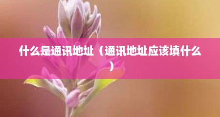 什么是通讯地址（通讯地址应该填什么）