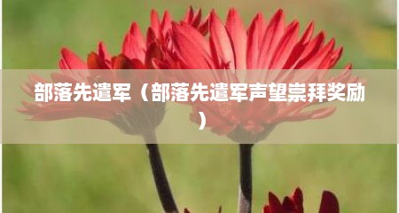 部落先遣军（部落先遣军声望崇拜奖励）