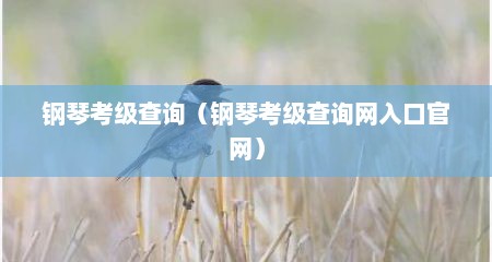 钢琴考级查询（钢琴考级查询网入口官网）