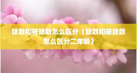 除数和被除数怎么区分（除数和被除数怎么区分二年级）