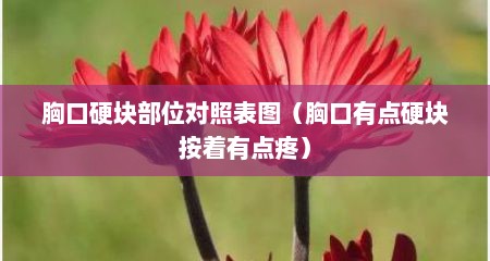 胸口硬块部位对照表图（胸口有点硬块按着有点疼）