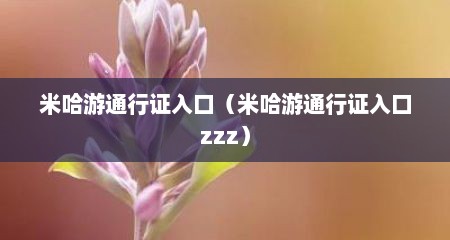 米哈游通行证入口（米哈游通行证入口zzz）