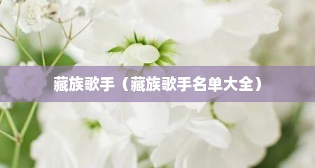 藏族歌手（藏族歌手名单大全）
