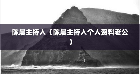 陈晨主持人（陈晨主持人个人资料老公）
