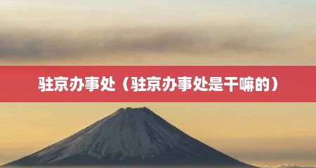 驻京办事处（驻京办事处是干嘛的）