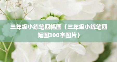 三年级小练笔四幅图（三年级小练笔四幅图300字图片）