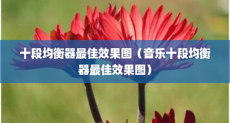 十段均衡器最佳效果图（音乐十段均衡器最佳效果图）