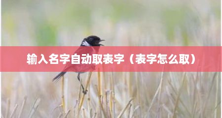 输入名字自动取表字（表字怎么取）