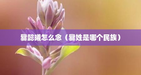 爨懿曦怎么念（爨姓是哪个民族）