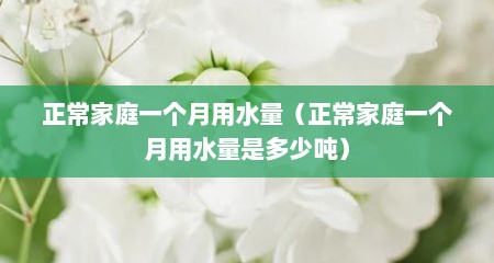 正常家庭一个月用水量（正常家庭一个月用水量是多少吨）