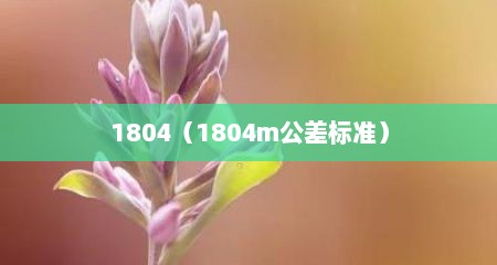 1804（1804m公差标准）
