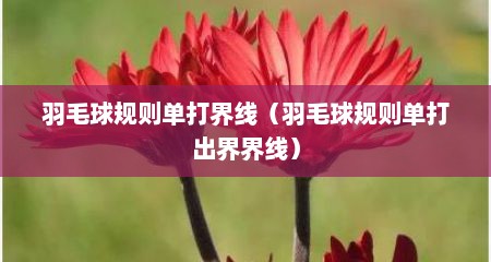 羽毛球规则单打界线（羽毛球规则单打出界界线）