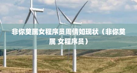 非你莫属女程序员周倩如现状（非你莫属 女程序员）