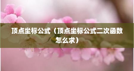 顶点坐标公式（顶点坐标公式二次函数怎么求）