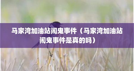 马家湾加油站闹鬼事件（马家湾加油站闹鬼事件是真的吗）
