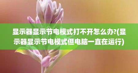 显示器显示节电模式打不开怎么办?(显示器显示节电模式但电脑一直在运行)