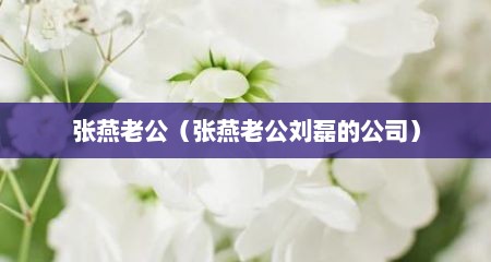 张燕老公（张燕老公刘磊的公司）