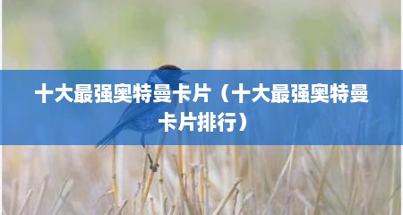 十大最强奥特曼卡片（十大最强奥特曼卡片排行）