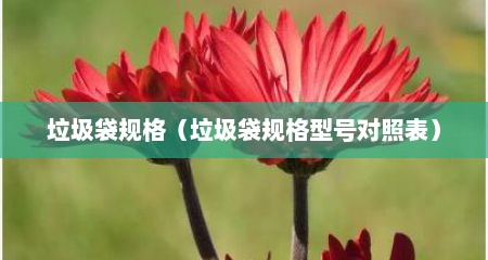 垃圾袋规格（垃圾袋规格型号对照表）