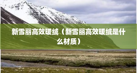 新雪丽高效暖绒（新雪丽高效暖绒是什么材质）