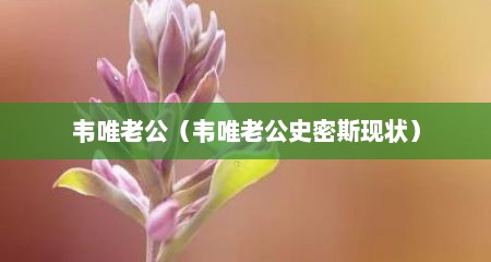 韦唯老公（韦唯老公史密斯现状）