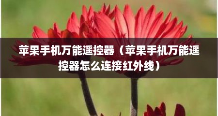 苹果手机万能遥控器（苹果手机万能遥控器怎么连接红外线）