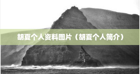 胡夏个人资料图片（胡夏个人简介）