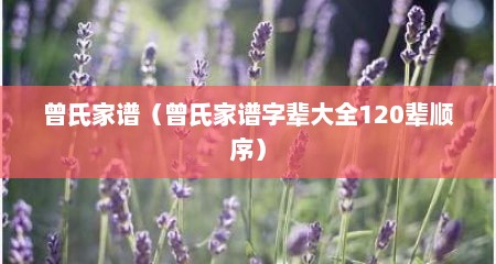 曾氏家谱（曾氏家谱字辈大全120辈顺序）