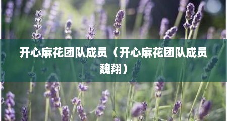 开心麻花团队成员（开心麻花团队成员魏翔）
